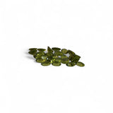 Peridot - ज़बरजद (Jabarzad) | 18.6 ct, multi piece | Certified Loose Gemstone for Astrology & Jewelry