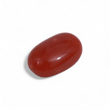 Coral - लाल मूंगा (Laal Moonga) | 9.45 ct from Japan | Certified Loose Gemstone for Astrology & Jewelry