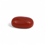 Coral - लाल मूंगा (Laal Moonga) | 9.45 ct from Japan | Certified Loose Gemstone for Astrology & Jewelry