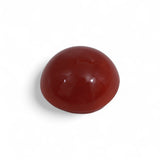 Coral - लाल मूंगा (Laal Moonga) | 4.4 ct from Japan | Certified Loose Gemstone for Astrology & Jewelry