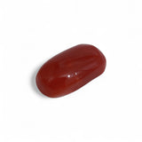Coral - लाल मूंगा (Laal Moonga) | 4.85 ct from Japan | Certified Loose Gemstone for Astrology & Jewelry