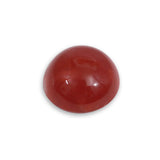 Coral - लाल मूंगा (Laal Moonga) | 6.1 ct from Japan | Certified Loose Gemstone for Astrology & Jewelry