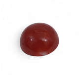 Coral - लाल मूंगा (Laal Moonga) | 6.1 ct from Japan | Certified Loose Gemstone for Astrology & Jewelry