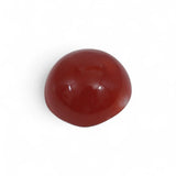 Coral - लाल मूंगा (Laal Moonga) | 6.1 ct from Japan | Certified Loose Gemstone for Astrology & Jewelry