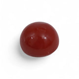 Coral - लाल मूंगा (Laal Moonga) | 7.35 ct from Japan | Certified Loose Gemstone for Astrology & Jewelry