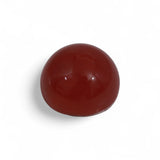 Coral - लाल मूंगा (Laal Moonga) | 7.35 ct from Japan | Certified Loose Gemstone for Astrology & Jewelry