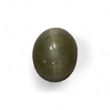Cat's Eye Nephrite - लहसुनिया नेफ्राइट (Lahsunia Nephrite), वैदूर्य मणि (Vaidurya Mani) | 9.98 ct from | Certified Loose Gemstone for Astrology & Jewelry