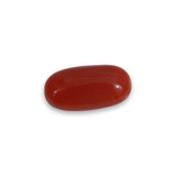 Coral - लाल मूंगा (Laal Moonga) | 5.1 ct from Japan | Certified Loose Gemstone for Astrology & Jewelry