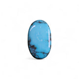 Torqquoise - फ़िरोज़ा (Firoza) | 14.15 ct from America | Certified Loose Gemstone for Astrology & Jewelry