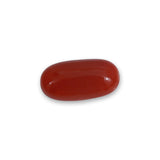 Coral - लाल मूंगा (Laal Moonga) | 5.1 ct from Japan | Certified Loose Gemstone for Astrology & Jewelry