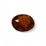 Hessonite - गोमेद (Gomed) | 4.19 ct from  | Certified Loose Gemstone for Astrology & Jewelry