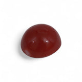 Coral - लाल मूंगा (Laal Moonga) | 4.5 ct from Japan | Certified Loose Gemstone for Astrology & Jewelry
