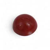 Coral - लाल मूंगा (Laal Moonga) | 4.5 ct from Japan | Certified Loose Gemstone for Astrology & Jewelry