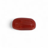 Coral - लाल मूंगा (Laal Moonga) | 4.85 ct from Japan | Certified Loose Gemstone for Astrology & Jewelry