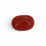 Coral - लाल मूंगा (Laal Moonga) | 3.15 ct from Japan | Certified Loose Gemstone for Astrology & Jewelry
