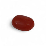 Coral - लाल मूंगा (Laal Moonga) | 3.15 ct from Japan | Certified Loose Gemstone for Astrology & Jewelry